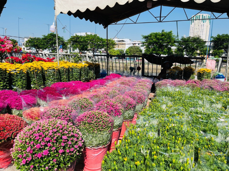 Chợ hoa “Trên bến dưới thuyền” thắp lại ký ức Tết xưa