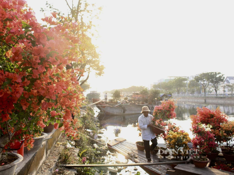 Chợ hoa xuân ”trên bến dưới thuyền” Tết Bính Ngọ, có không gian gốm, trải nghiệm gói bánh tét Trà Cuôn