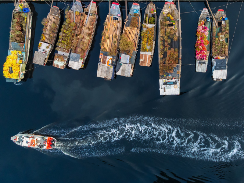 Rực rỡ sắc màu Chợ hoa xuân “Trên bến dưới thuyền” Tết Bính Ngọ 2026