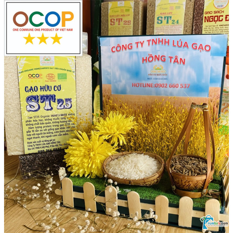 Gạo thơm hữu cơ ST 25 - OCOP 3 SAO