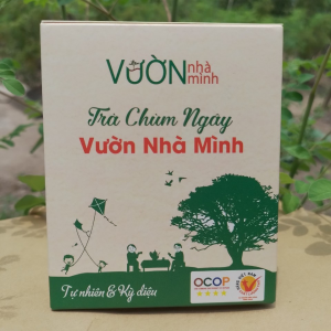 Trà chùm ngây Vườn Nhà Mình (hộp 30 gói túi lọc)
