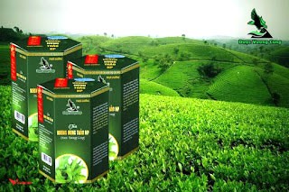 Trà Vương Hùng Thảo HP Dược Vương Cung